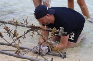 Coral planting