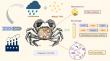 Low pH aggravates toxicity of polystyrene microplastics in crab Eriocheir sinensis