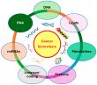 Cancer Biomarkers Market Set to Reach USD 67.62 Bn by 2032 Fueled by Precision Medicine Advancements | Coherent Market