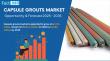Capsule Grouts Market Set for 5.4% CAGR, Reaching USD 1,088 Million by 2035 | Fact.MR Report