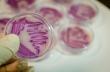 Ion Gel ZCM-25®: Innovador Avance Contra Infecciones por Bacterias Multirresistentes
