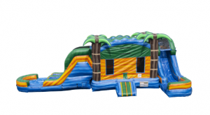 Water Slide Rentals In Richardson, TX - Starwalk of Dallas