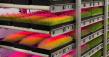 Sprouting Gear Introduces Scalable Indoor Farming Tech for Cattle Feed