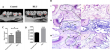 Space conditions can cause gum inflammation and bone loss, say scientists