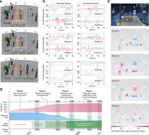 Fig. 2. Dynamic experiment demonstration and interpretability analysis.