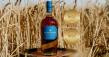 Cotswolds Distillery Wins 4 Golds and Trophy at 2025 World Spirits Challenge