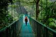 Ecotourism Market Set to Hit $829.8 Billion by 2035, Expanding at an 11.7% CAGR