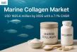 Marine Collagen Market Set to Double by 2035 Amid Rising Demand for Sustainable Beauty and Wellness Solutions