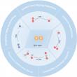 Unlocking the power of electron spin: a new frontier in clean energy catalysis
