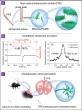 Broadband ultrasound generator over a fiber-optic tip for in vivo emotional stress modulation