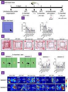 Photoacoustic stimulation of neurons in mPFC alleviates SDS-induced anxiety and social dysfunction.