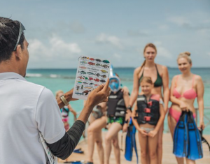 Reef Awareness