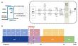 High-frequency and low-cost: the future of 6G filters on silicon