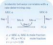 Unveiling Isosbestic Behavior in Multi-Step Transformations