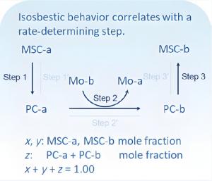Researchers challenge the traditional explanation of isosbestic behavior, using colloidal semiconductor magic-size clusters as a model system together with a multi-step pathway involving reaction intermediates