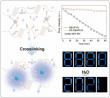 Humidity-resistant phosphorescent films achieved through crosslinking reaction