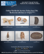 The Professor’s Collection Part One Reveals Rare Indigenous Artifacts at Auction