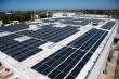California Solar Leader Alerts Business Owners: Solar Tax Credits Are On the Chopping Block