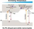 Revealing the hidden enemies of light in perovskite materials