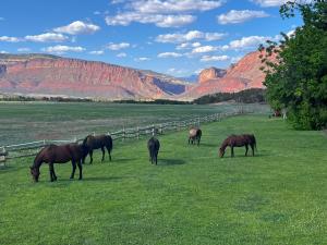 Sinbad Ranch with Horses