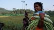 EXPOSED: The Eastern Models Are Making Western Economics Look Obsolete - Success Stories from Kerala and Bangladesh