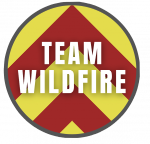 Team Wildfire Logo