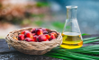Palm Oil Processing Plant: Cost, Business Plan, Investment & Break-Even Analysis
