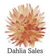 Dahliasales.com and CYBA Launch AI Best Practice Series for Marine Industry Professionals