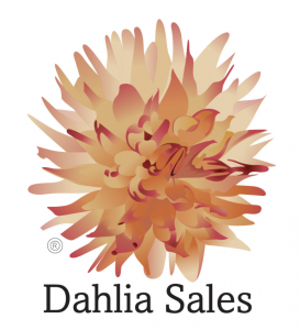 Dahliasales.com, in partnership with the California Yacht Brokers Association (CYBA), has launched the marine industry’s first AI-focused best practices seminar, introducing cutting-edge artificial intelligence applications to yacht brokers and other maritime professionals