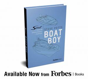 Boat Boy by Steve Potts book cover