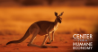 Senators Seek to Halt Sales of Kangaroo Parts in the U.S. as Umbro Pledges to Stop Sourcing Skins for Its Soccer Shoes