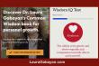 Dr. Laura Gabayan Announces New Wisdom IQ Test Soft Launch based on ‘Common Wisdom’ Book and Research Study