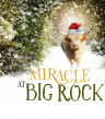 Miracle at Big Rock Announces July 1 Launch of 2025 Private Rentals