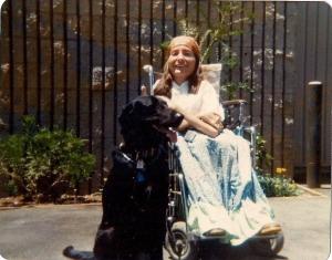 Service dog sits next to a person in a wheelchair