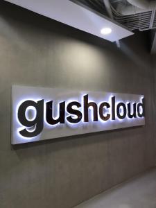 Gushcloud International