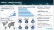 Breast Cancer Epidemiology Report | In-Market Drugs, Treatment, Trends, Rising Incidence & Prevalence 2025-2035
