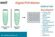 Digital PCR Market Size, Share & Future Opportunities | Global Forecast 2025 | DataM Intelligence