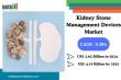 Kidney Stone Management Devices Market Set to Reach $4.19B by 2033 with Focus on Innovation and Minimally Invasive Care