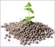 Phosphate Fertilizer Market to Witness Substantial Growth by 2031 - Emerging Trends and Revenue Forecast