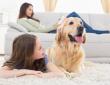 Seasonal Reset: New Guide Offers Simple Strategies for a Clean, Welcoming Home This Summer