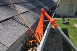EZ Smart Tools Mini Rake Helps Fire Prevention