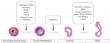 AI models might spot pancreatic cancer at an early stage and predict the deadly disease’s prognosis