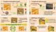 From fields to forests: tracking cropland abandonment from space