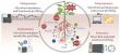 Soil microbes: the unsung heroes of agriculture in the face of salinity