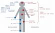 Beyond joint pain: the hidden harms of osteoarthritis