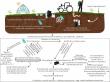 Microplastics: hidden carriers of antibiotic resistance in agricultural soils