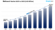 Methanol Market Report 2025 Edition: Industry Size, Share, Growth and Competitor Analysis