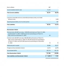 Alternus Clean Energy Consolidated Balance Sheet p2