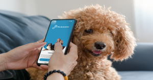 Turn your phone into a calming wellness tool for your pet. The Pet Acoustics+ app offers sound therapy and hearing insights—anytime, anywhere.