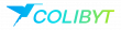 La revolución digital llega desde India Colibyt abre oficinas en Latinoamérica y lanza ofertas únicas para empresas